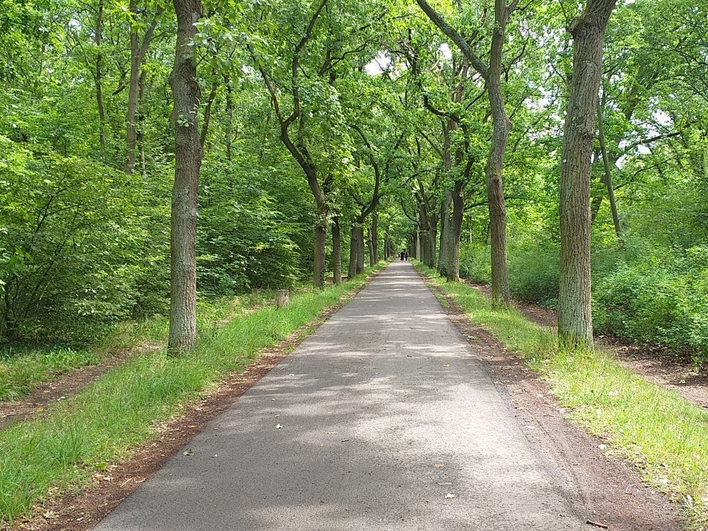 GESUND INTreptow-Köpenick